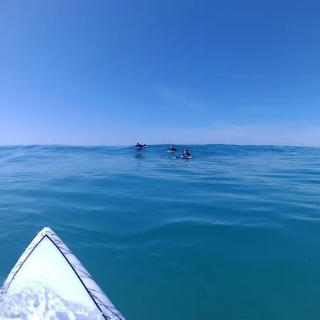 بيت شباب Moby Dick Cascais