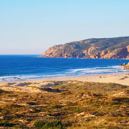 بيت شباب Moby Dick Cascais مالفيرا دا سيرا