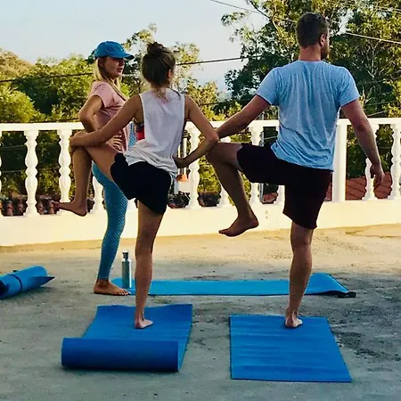 بيت شباب Moby Dick Cascais مالفيرا دا سيرا