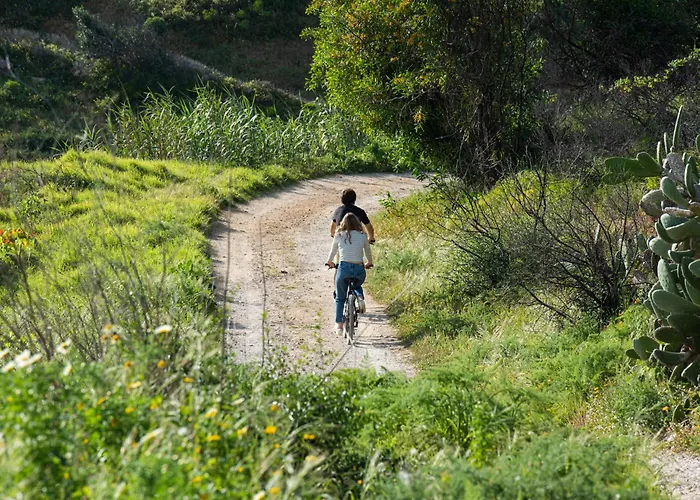 Moby Dick Cascais Hostel